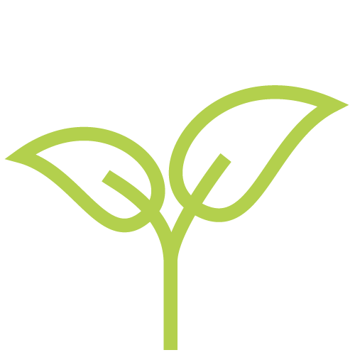 Rein dekoratives Element. Zu sehen ist ein grünes Icon, welches einen Keimling mit zwei Blättern zeigt.